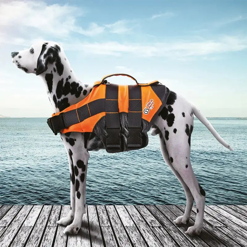 Chaleco Salvavidas para perros