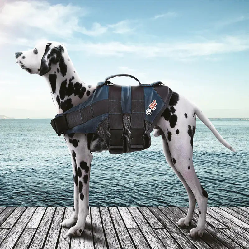 Chaleco Salvavidas para perros - Medium / Azul Navy