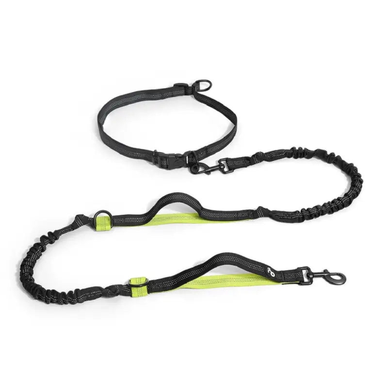 Correa manos libres 2 en 1: Libertad y conveniencia en tus paseos con mascotas