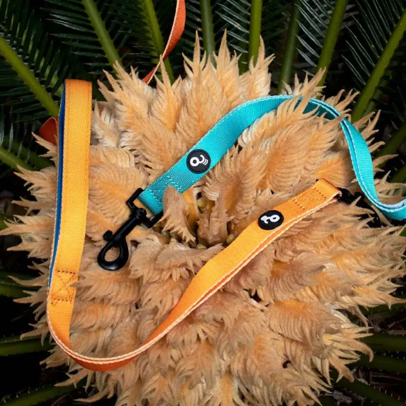 Correa para entrenamiento con Doble Asa(1.5mts)