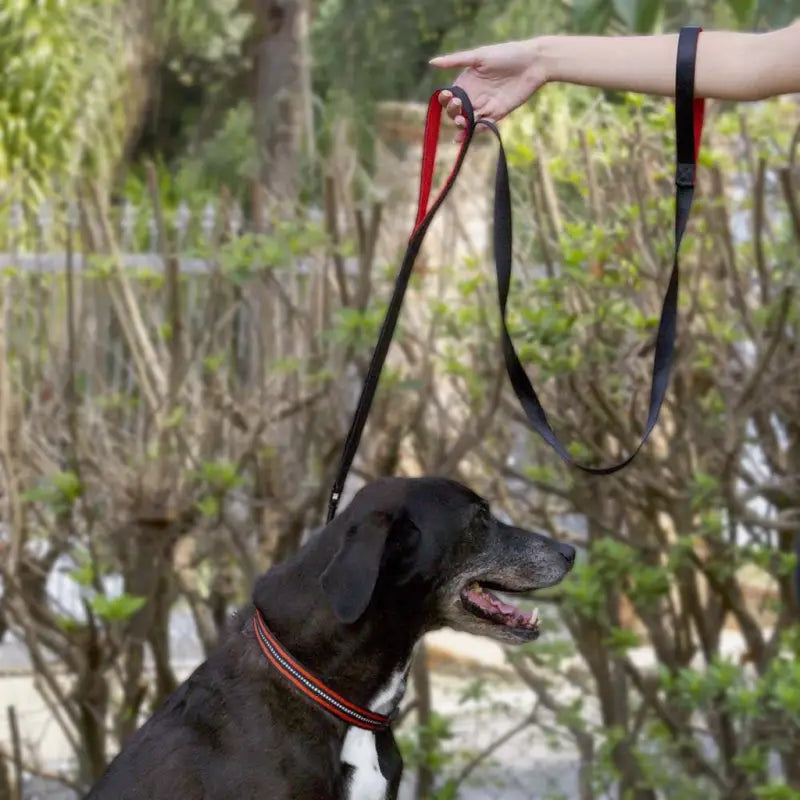Correa para entrenamiento con Doble Asa(1.5mts)