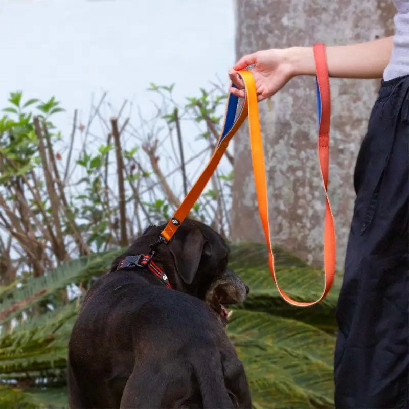 Correa para entrenamiento con Doble Asa(1.5mts)
