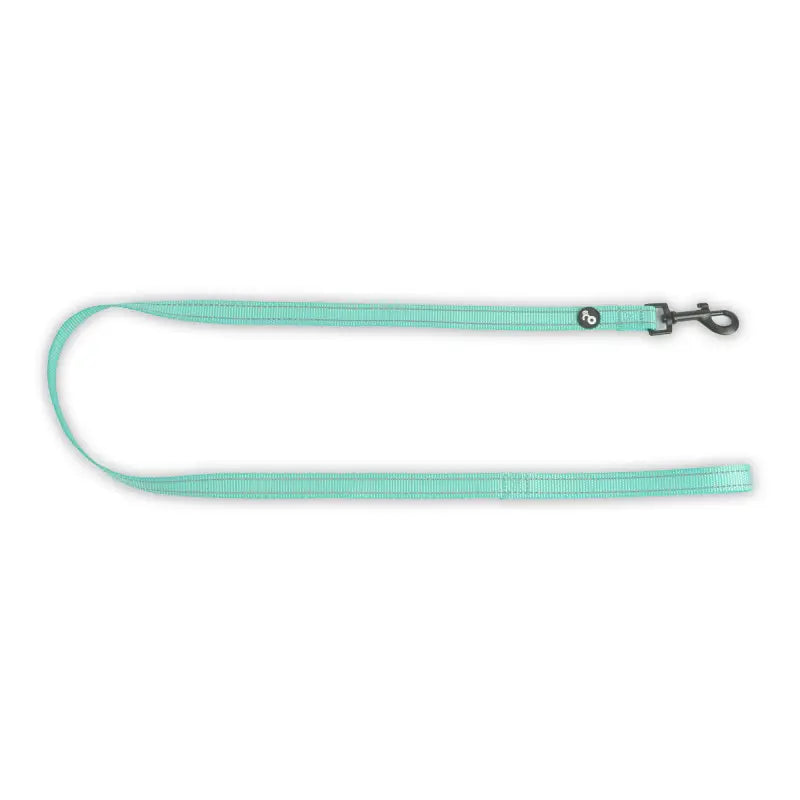 Correa reflectiva con mango acolchado para perros