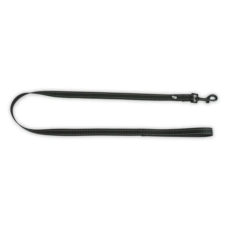 Correa reflectiva con mango acolchado para perros