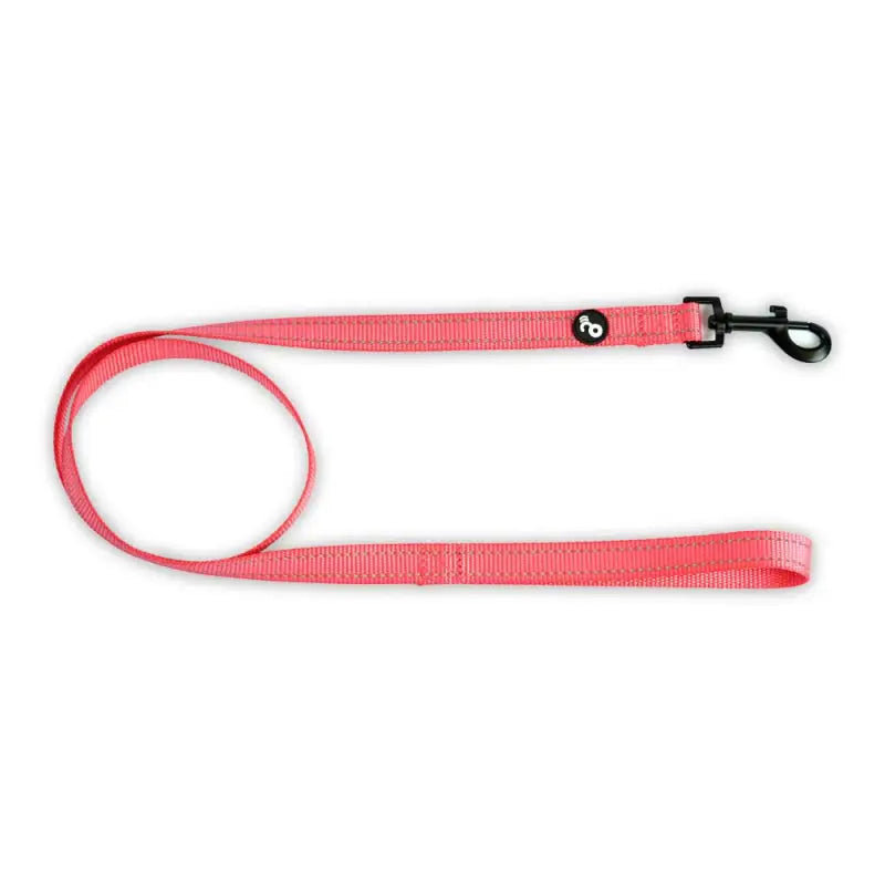 Correa reflectiva con mango acolchado para perros