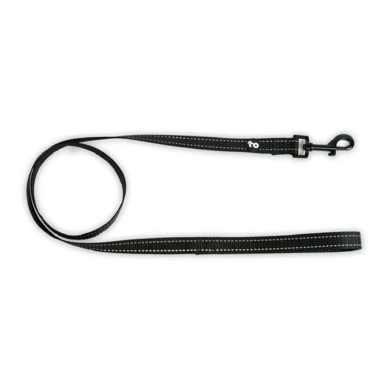 Correa reflectiva con mango acolchado para perros