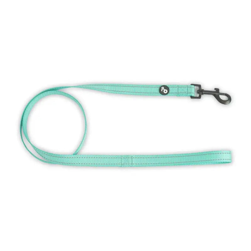 Correa reflectiva con mango acolchado para perros