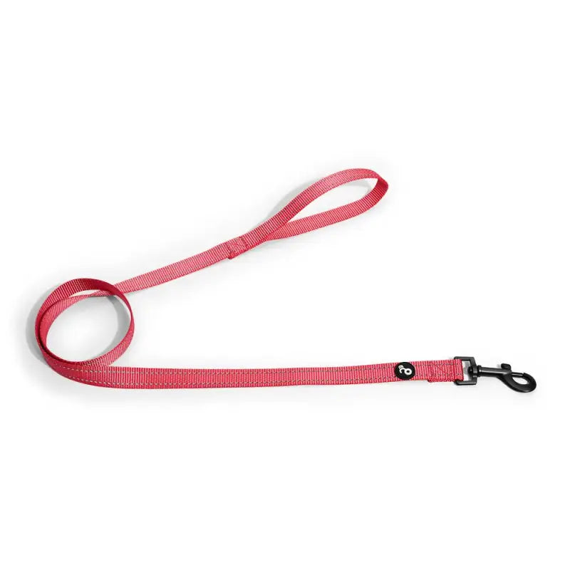 Correa reflectiva con mango acolchado: Seguridad y comodidad en tus paseos nocturnos con mascotas