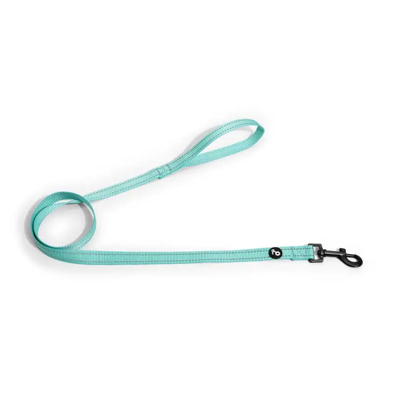 Correa reflectiva con mango acolchado para perros - Turquesa