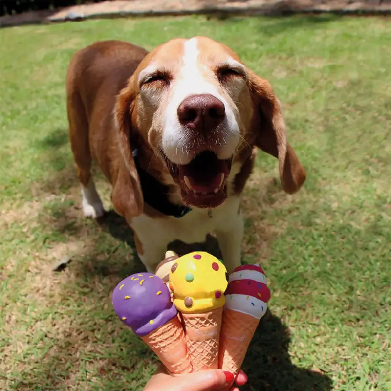Juguete Cono de Helado Squeaker para perros