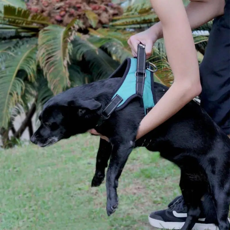 Pechera Air Pull Harness para perros