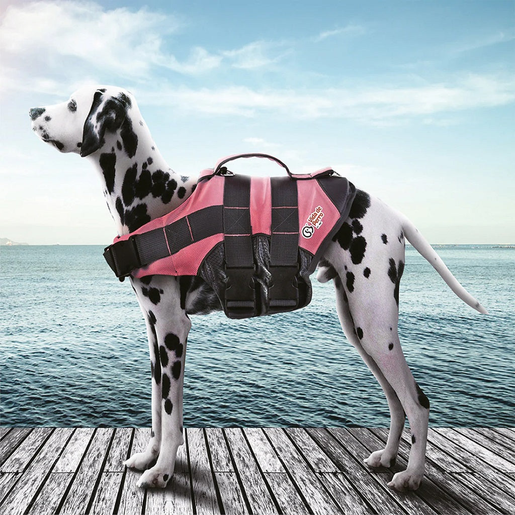 Chaleco Salvavidas para perros
