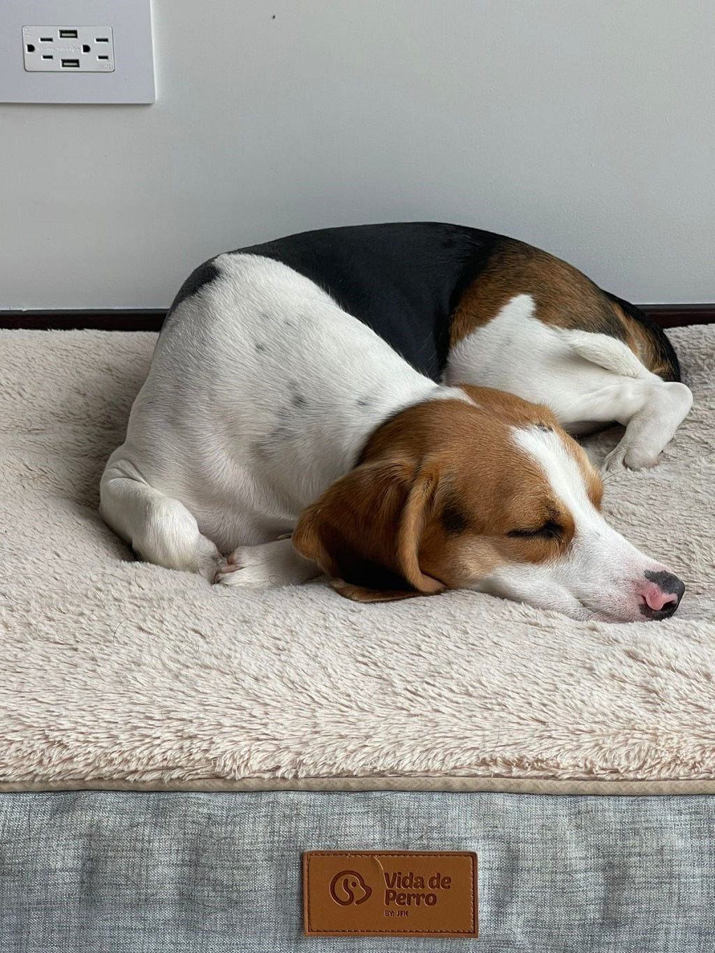 Cama Lounge Ortopedica, para perros
