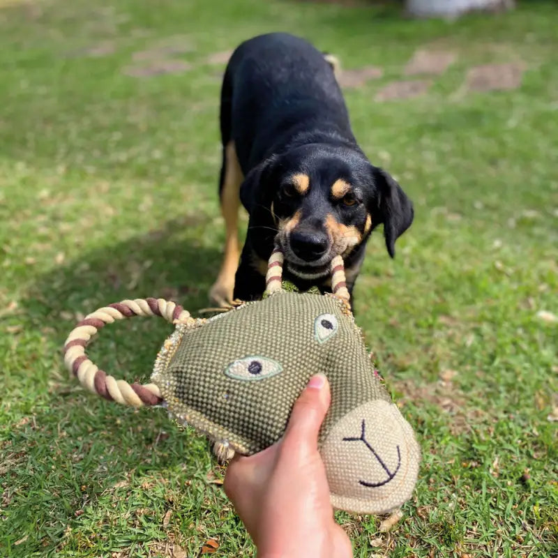 Juguete para jalar Tug CABRITO