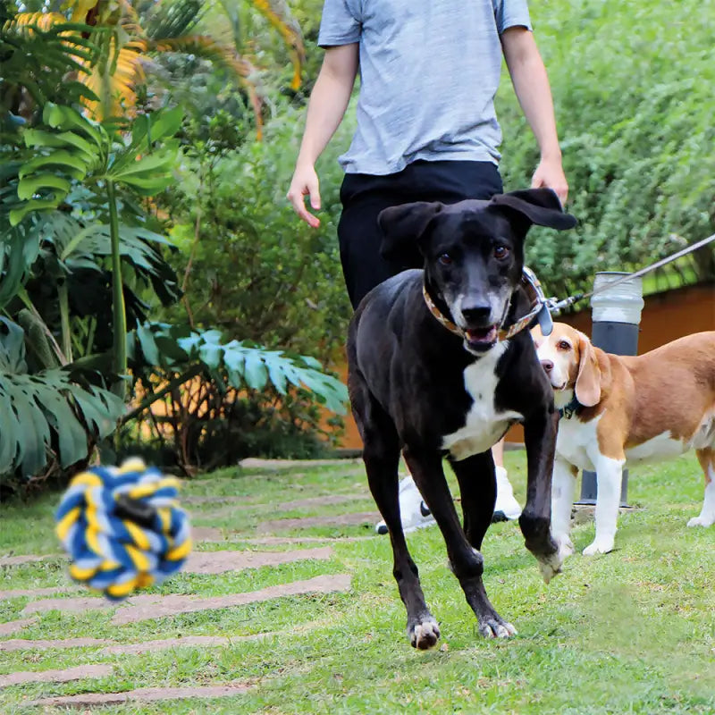 Juguete Knots Ball resistentes para perros
