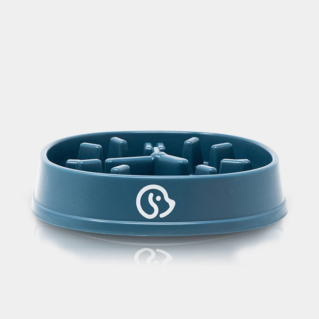 Comedero antivoraz forma Reloj, para Mascotas