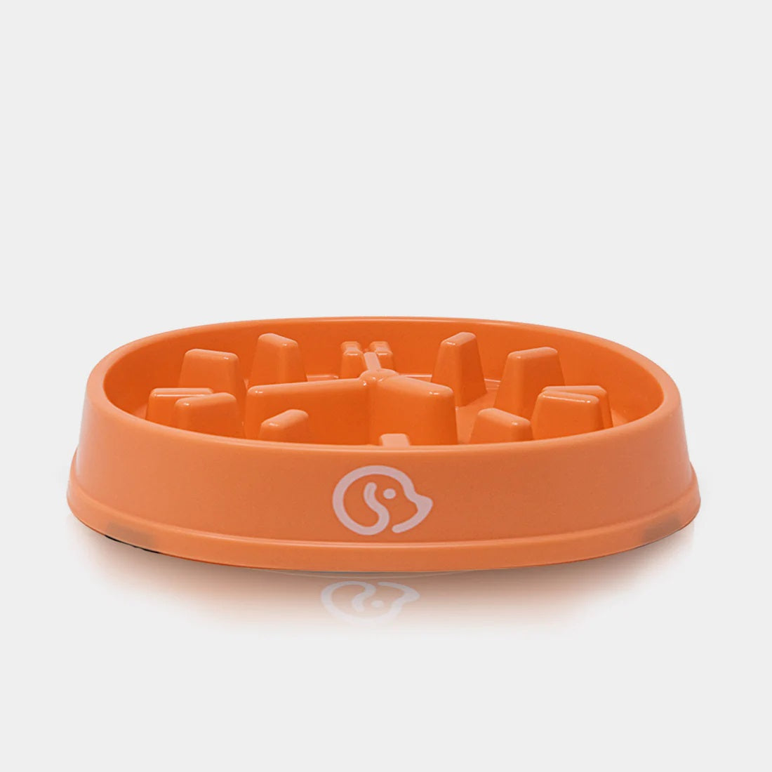 Comedero antivoraz forma Reloj, para Mascotas
