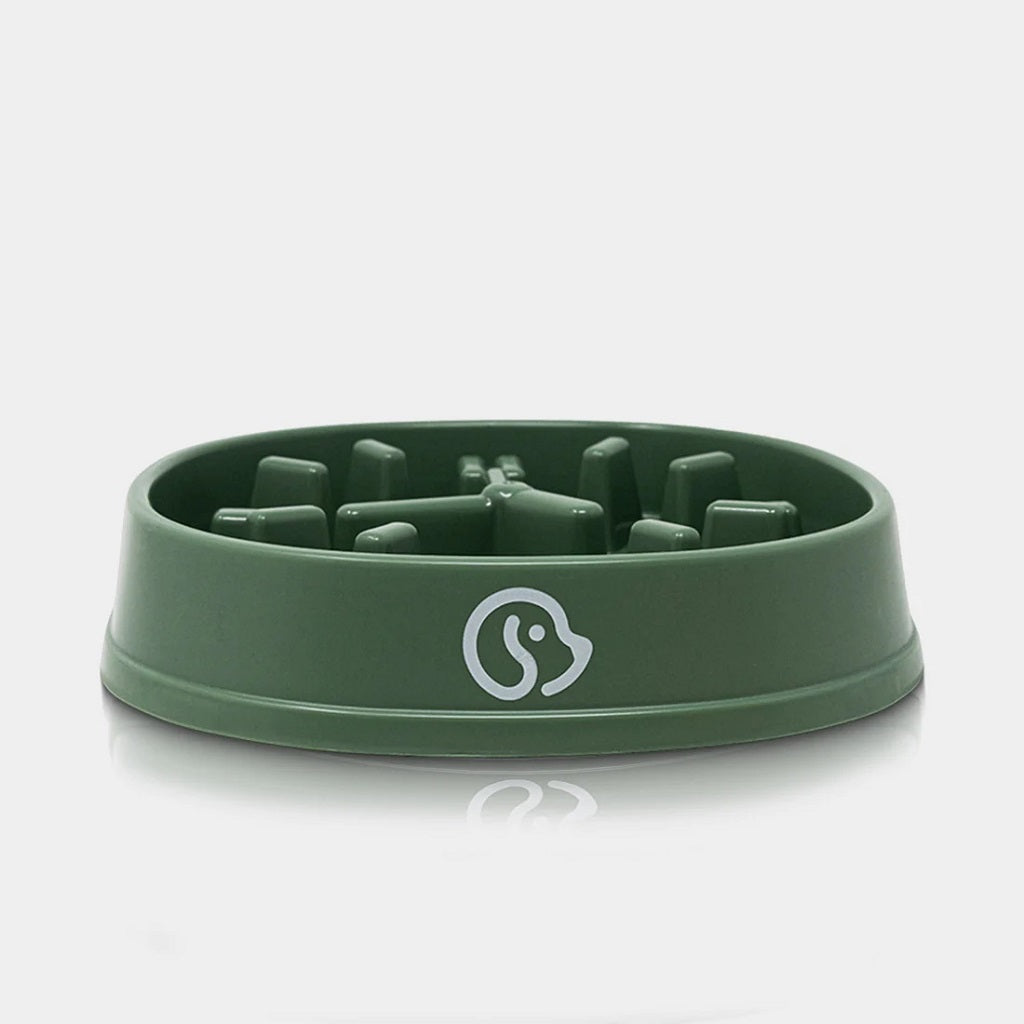 Comedero antivoraz forma Reloj, para Mascotas